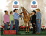 Oklahoma City Holiday Classic 2008