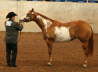 Holiday Classic 2008