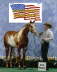 International Livestock Expo 