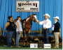 Missouri Breeder's Futurity Champion Yearling Mares