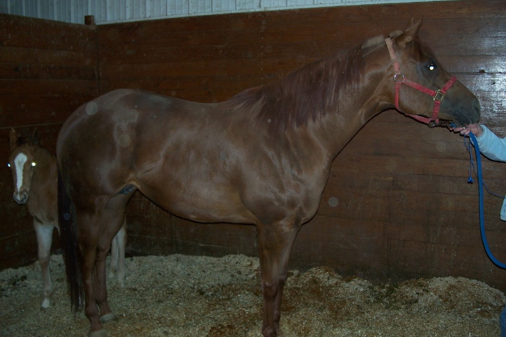 sally