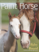 paint horse journal